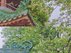 -中山公园