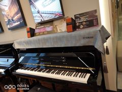 -知音艺术教育培训·钢琴培训·音乐培训(河西金鹰世界校区)