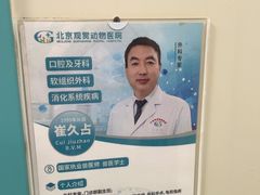 -北京观赏动物医院·24小时大型综合·猫专科·异宠专科