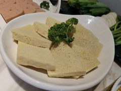 -汤城·料青山