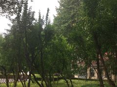 -徐家汇源景区-衡山公园