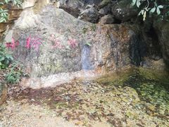 -牛鱼嘴原始生态风景区