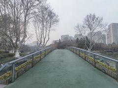 -红梅公园