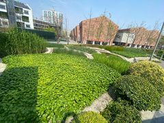-活水公园