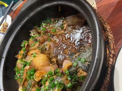 -金龙寨(解西店)