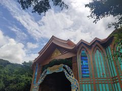 -西双版纳原始森林公园