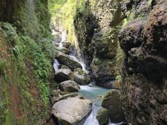 -鹿院坪生态旅游景区