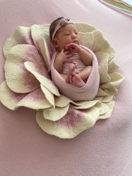 -西瓜庄园儿童摄影