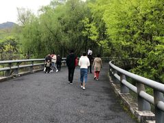 -西湖风景区-江洋畈生态公园