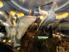 -下渚湖国家湿地公园科普馆