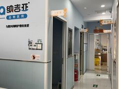 -纳吉亚猫专科动物诊疗中心(蒋宅口分院)