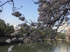 -成都市活水公园