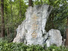 -音乐台