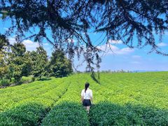 -雅达·阳羡溪山小镇中心