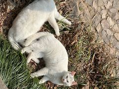 -狼山风景名胜区