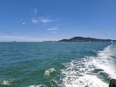 -映像威海·海鲜味道(市区店)