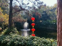 -广州兰圃