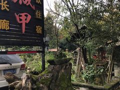 -青城甲(青城山店)