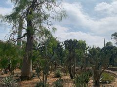 -东莞植物园