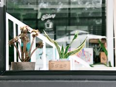 -隹木咖啡馆(宝龙广场店)