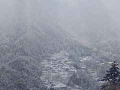 -九华山风景区-东崖禅寺