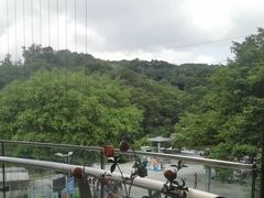 -点都德(广州白云山景区南门店)