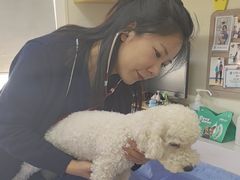 -美联众合动物医院·24h京西诊疗中心