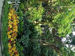 上海植物园-上海植物园