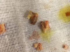 -中农大我爱我爱24h动物医院·中医针灸·猫专科·骨科医疗中心(双井店)