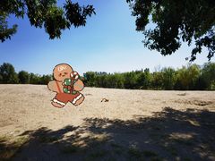 -东郊湿地公园