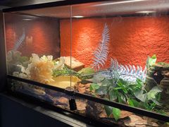 -欢乐海岸海洋奇梦馆