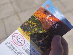 -香山公园