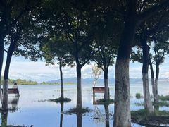 -洱海月湿地公园