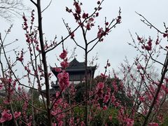 -虞山风景区
