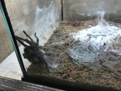 -Zoolung Zoolung动物主题公园(海信广场店)