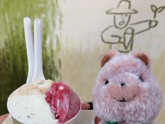 -Dip in Gelato(富民路店)