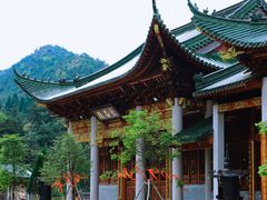 -玉苍山国家森林公园