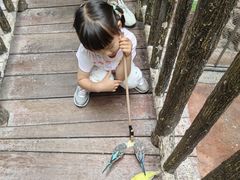 -正佳雨林生态植物园