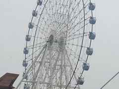 -秦皇岛乐岛海洋王国