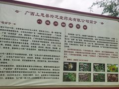 -皇袍山景区