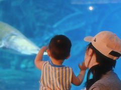 -华夏文旅海洋公园