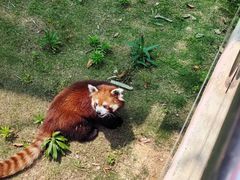 -南京金牛湖风景区