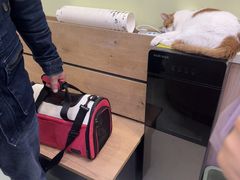 -瑞鹏宠物医院·宠保定点·心脏科·内科(御桥分院)