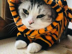 -平行世界·猫咖(首经贸店)