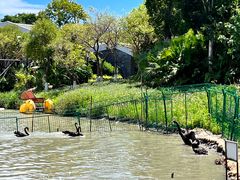 -琅岐红光湖公园