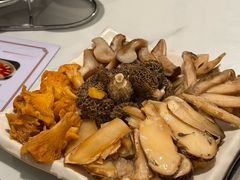 -蘑统田下·野生菌火锅