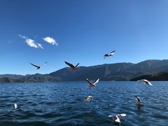 -丽江泸沽湖景区-里格半岛
