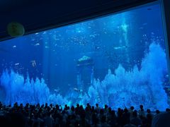 -南昌融创海世界
