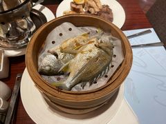 -马哥孛罗咖啡厅·Cafe Marco (厦门马哥孛罗东方大酒店)