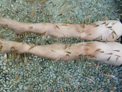 -厦门日月谷温泉渡假村